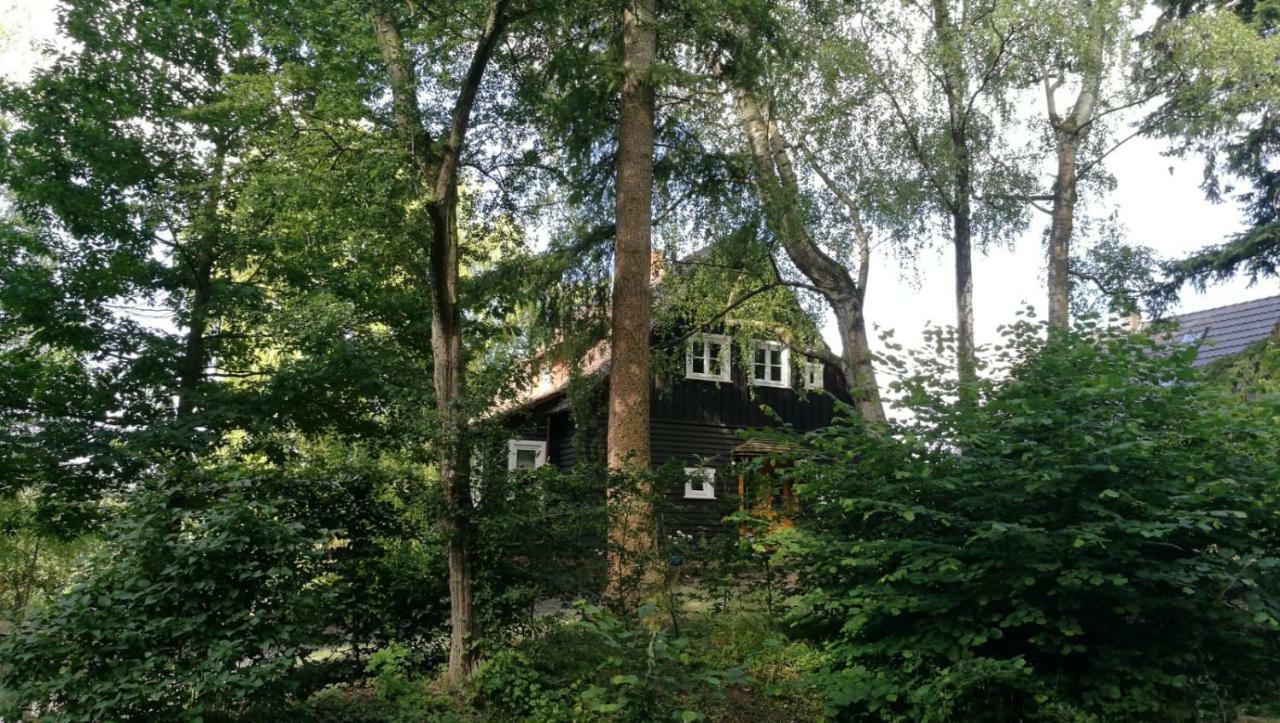 Villa Haus am Knobben Uslar Exterior foto